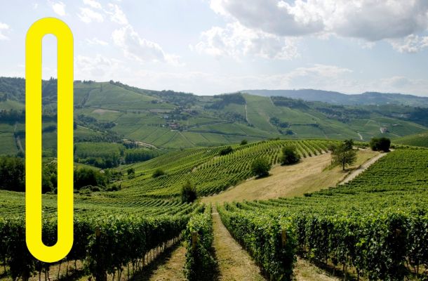 Un microprogetto per un grande obiettivo: l’esperienza del progetto S.C.A.L.A. nella lotta al cambiamento climatico